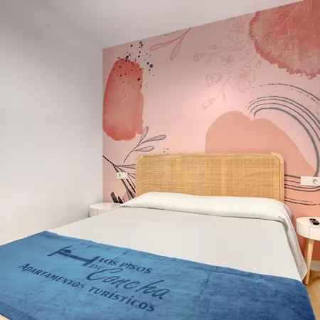 Bajo Pisos De Concha Appartement